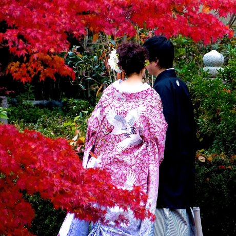 Công viên Kyoto Maruyama Công viên Kyoto Maruyama