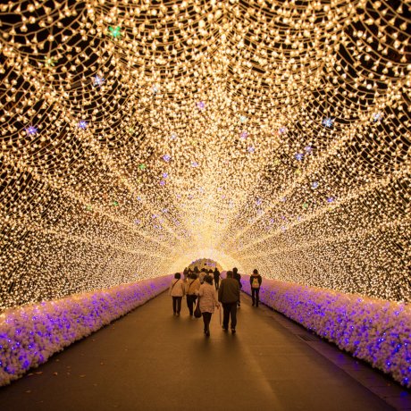 Cánh đồng hoa Nabana no Sato Cánh đồng hoa Nabana no Sato