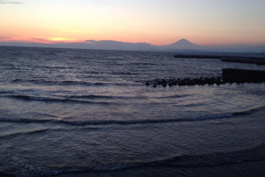 Đảo Enoshima: Nhỏ Nhưng Đẹp