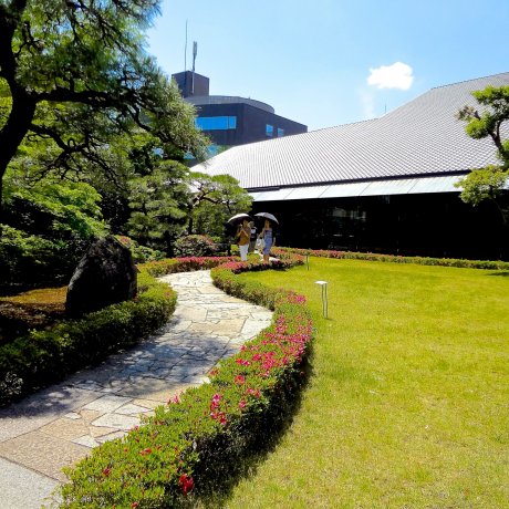 Bảo tàng và khu vườn Nezu, Omotesando Bảo tàng và khu vườn Nezu, Omotesando