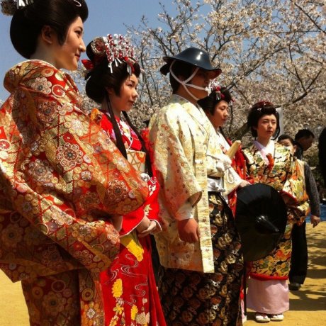 Lễ hội Mùa xuân Matsuyama Lễ hội Mùa xuân Matsuyama