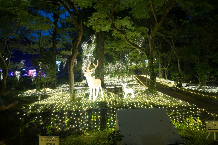 Illuminara: Vườn bách thảo Manyo