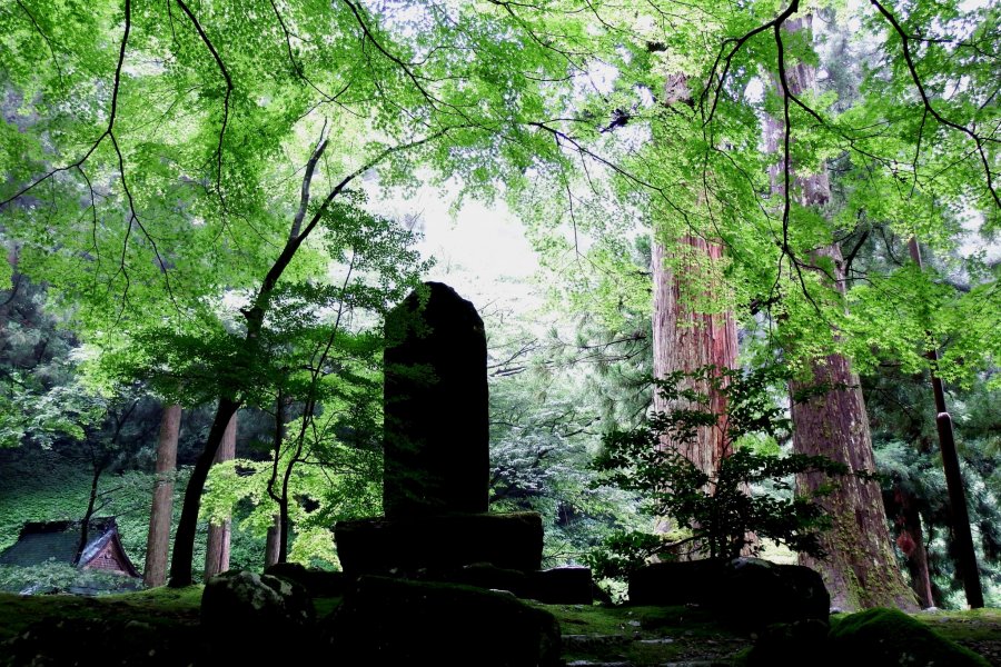 Khoảnh khắc yên bình tại đền Eiheiji 1