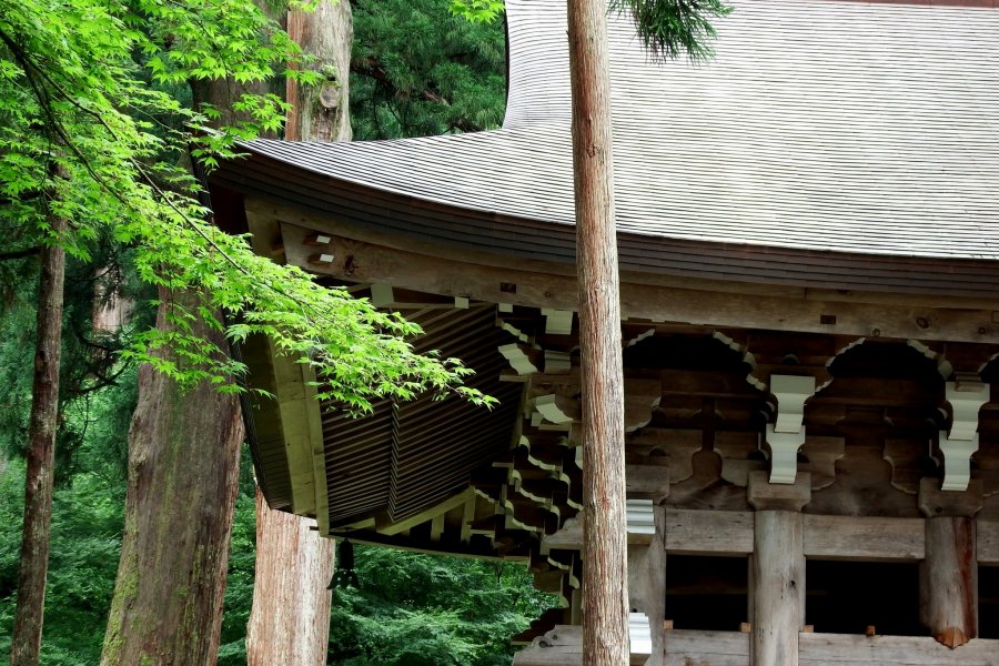 Gác chuông nổi tiếng của chùa Eiheiji 