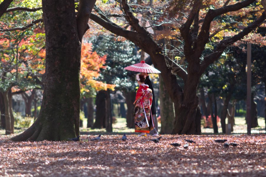 Công viên Yoyogi