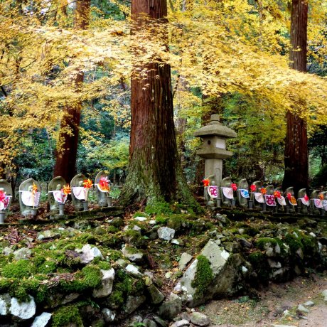 Những bức tượng Ojizo cầm chong chóng ở Kongorinji Những bức tượng Ojizo cầm chong chóng ở Kongorinji