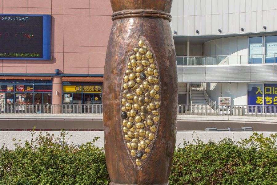 Tìm hiểu về  Natto