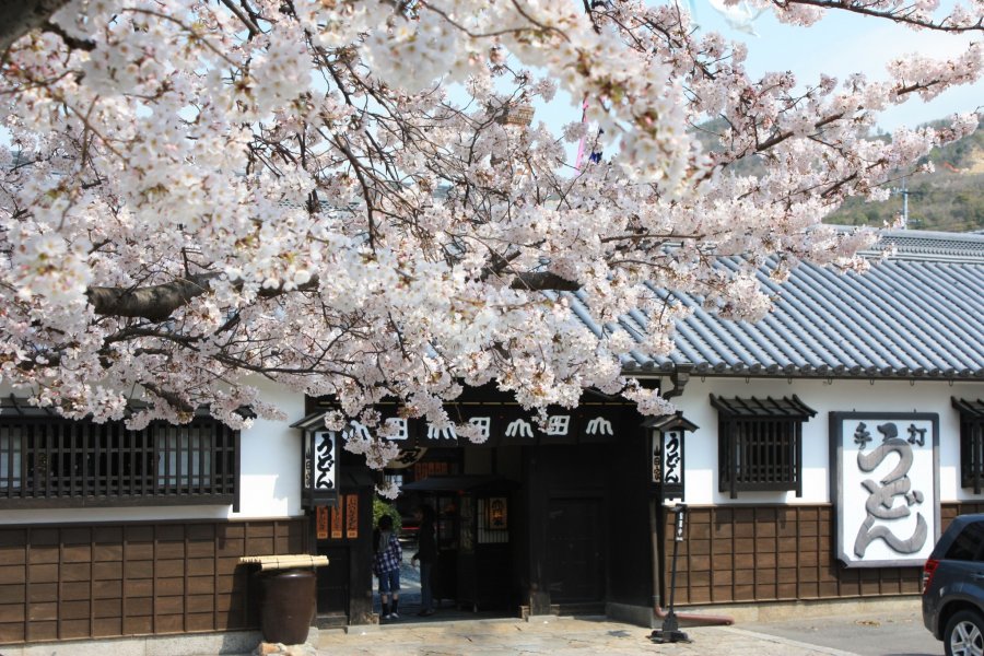 Yamadaya: Nhà hàng Udon Sanuki