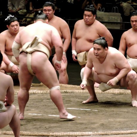 Đấu vật sumo tại Ryogoku Kokugikan Đấu vật sumo tại Ryogoku Kokugikan
