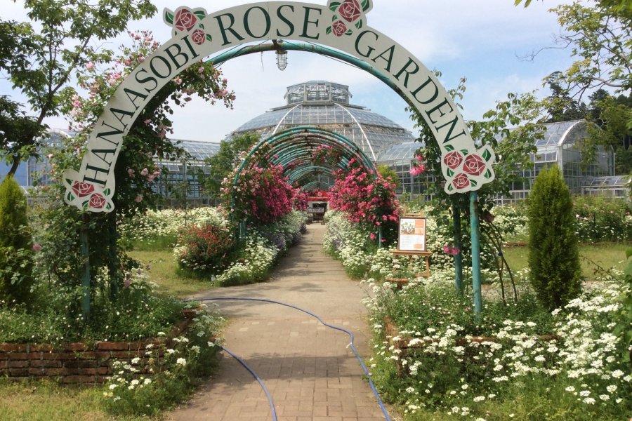 Vườn hoa hồng Hanaasobi