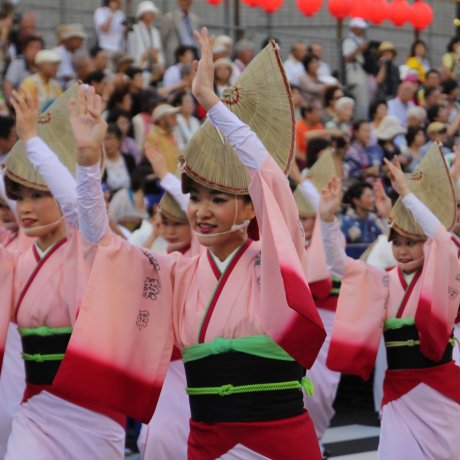 Lễ hội Awa Odori, thành phố Tokushima Lễ hội Awa Odori, thành phố Tokushima