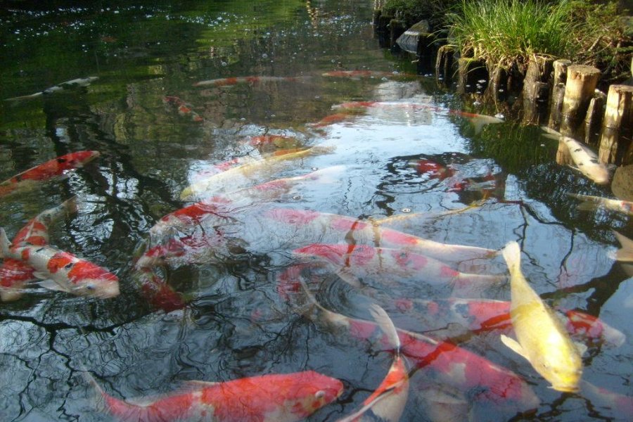 Vườn Happo-En, Shirokanedai