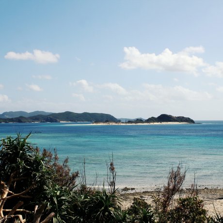 Tỉnh Okinawa Tỉnh Okinawa