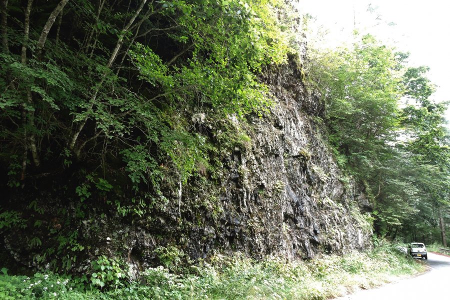 Tảng đá lớn và những bông hoa dại