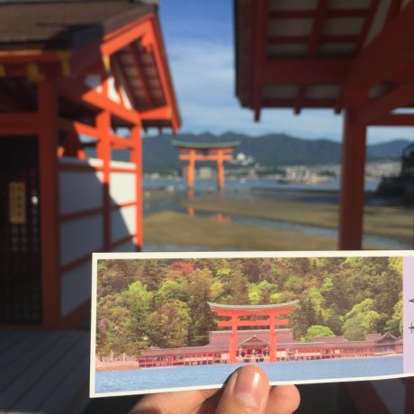 Bánh Momiji ở Miyajima Bánh Momiji ở Miyajima