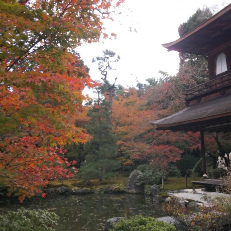 Ginkaku-ji vào mùa thu Ginkaku-ji vào mùa thu