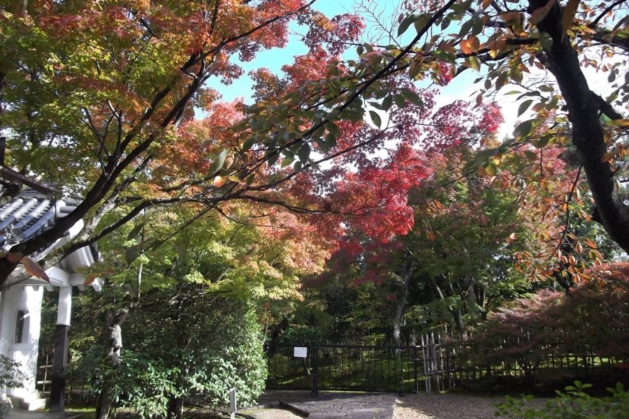 Đền Hokongo-in ở Kyoto