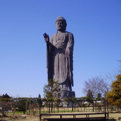 Thăm tượng Ushiku Daibutsu (Đại Phật) Thăm tượng Ushiku Daibutsu (Đại Phật)
