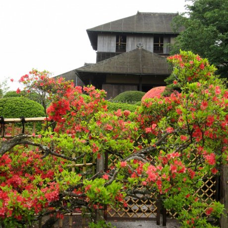 Kobuntei của Kairakuen Kobuntei của Kairakuen