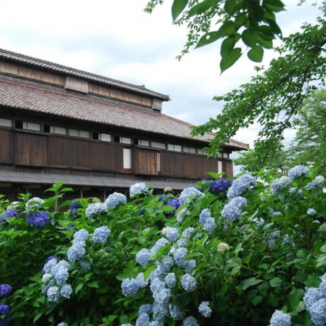 Matsugaoka Matsugaoka