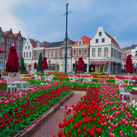 Huis Ten Bosch Huis Ten Bosch
