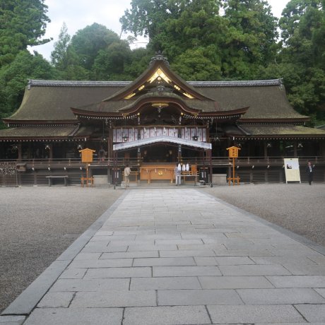 Thành phố Sakurai