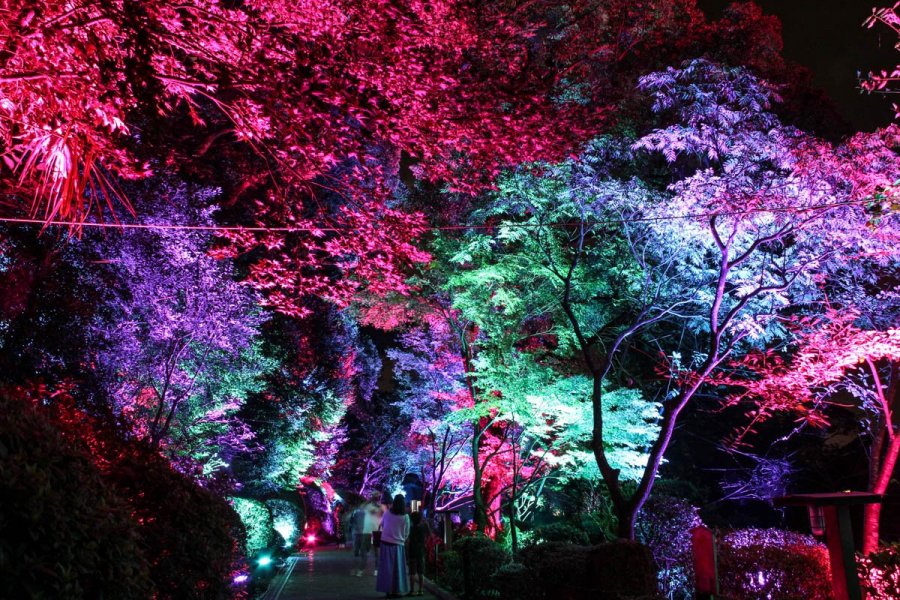 Beppu Umi Jigoku (Biển Địa ngục)  