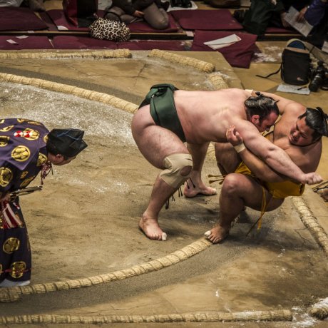 Giải Sumo Fukuoka mở rộng Giải Sumo Fukuoka mở rộng