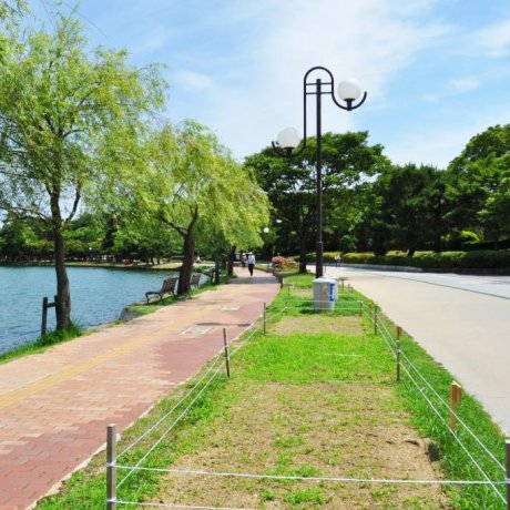 Công viên Ohari ở Fukuoka Công viên Ohari ở Fukuoka