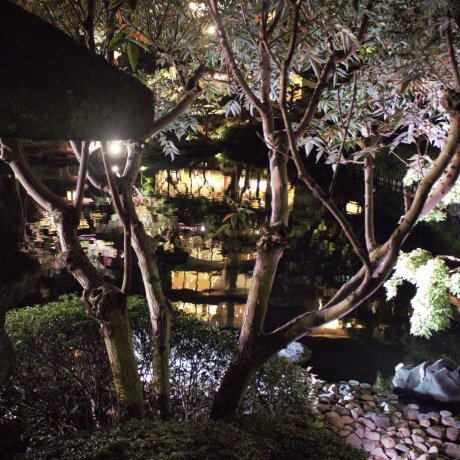 Cuộc sống về đêm ở Tokyo: Một buổi tối dành cho hai người Cuộc sống về đêm ở Tokyo: Một buổi tối dành cho hai người