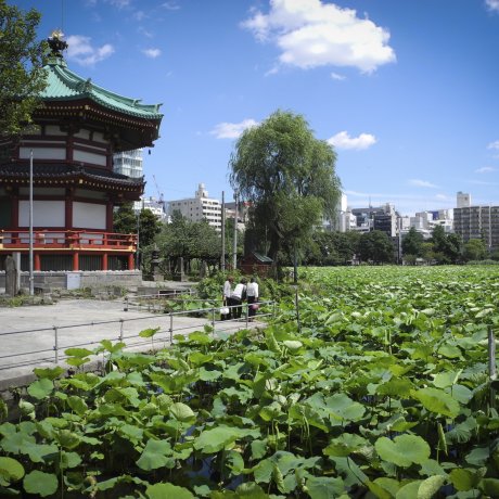 Công viên Ueno Công viên Ueno