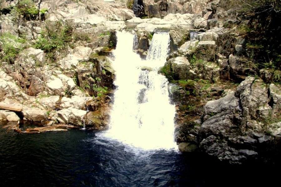 Viên ngọc tiềm ẩn ở Hiroshima 