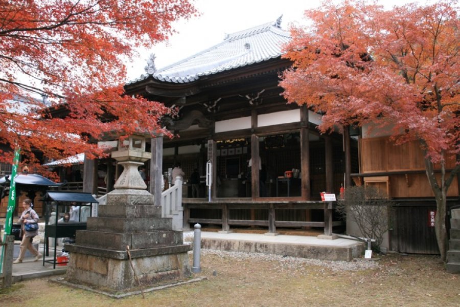 Nấc Thang Đến Thiên Đường, Jakkoin