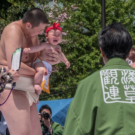 Lễ hội trẻ em khóc Nakizumo 2019 Lễ hội trẻ em khóc Nakizumo 2019