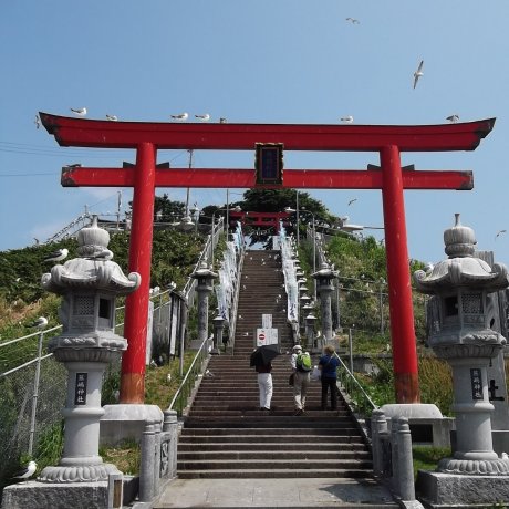 Kabushima Kabushima
