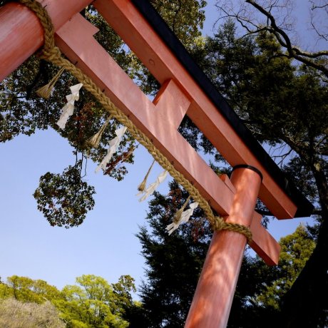 Đền Kamigamo ở Kyoto Đền Kamigamo ở Kyoto