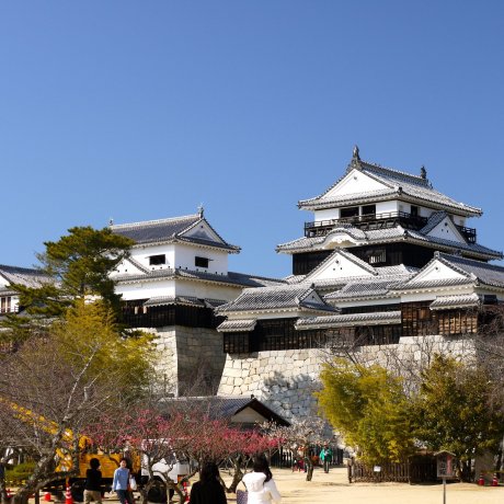 Matsuyama Castle